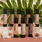 Tinted Moisturizer with Tallow + Moroccan Oil