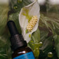 Emanations Profound Face Oil Tallow Emu Champa Tuberose Ginger